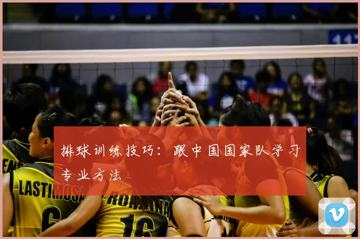 排球训练技巧：跟中国国家队学习专业方法