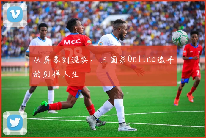 从屏幕到现实，三国杀Online选手的别样人生